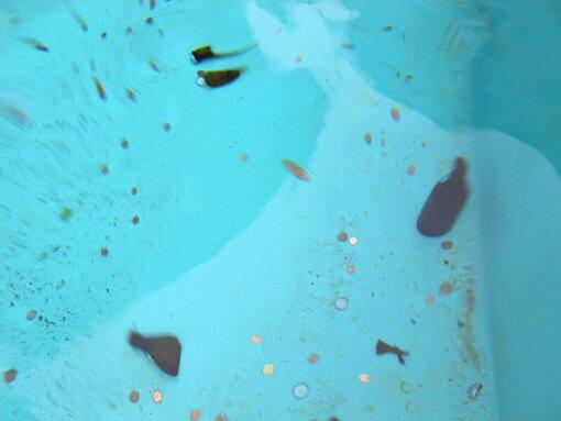 Geld waschen - im Fischbrunnen.