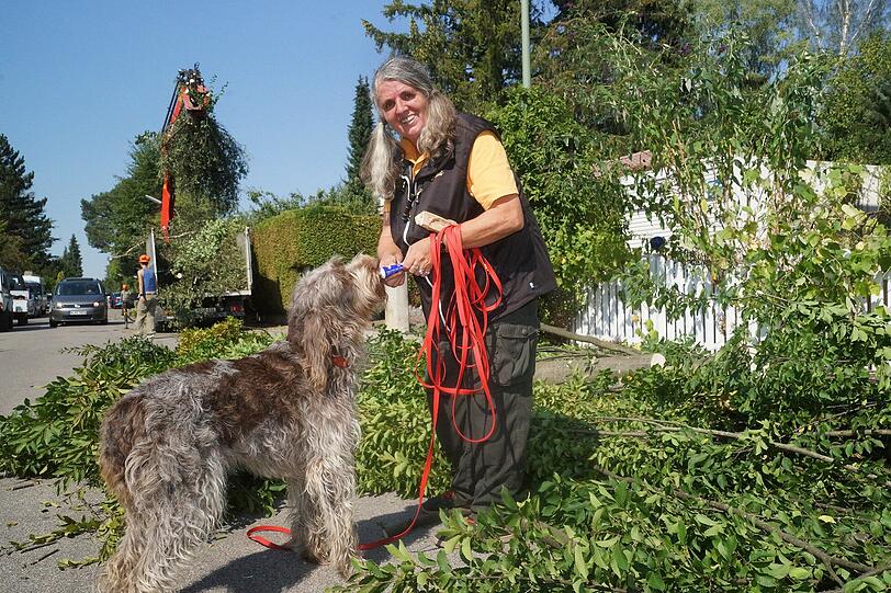 Angeliak Jensen ist mit ihrem Hund, einem Spinone Italiano, den sie Isabell of Pure Passion nennt, im Einsatz, um dem Käfer in Waldperlach aufzuspüren.