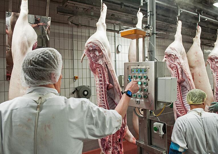 Jährlich könnten in dem neuen Schlachthof rund 300.000 Schweine und 90.000 Rinder geschlachtet werden.