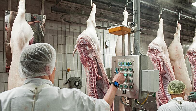 Jährlich könnten in dem neuen Schlachthof rund 300.000 Schweine und 90.000 Rinder geschlachtet werden. Jährlich könnten in dem neuen Schlachthof rund 300.000 Schweine und 90.000 Rinder geschlachtet werden.