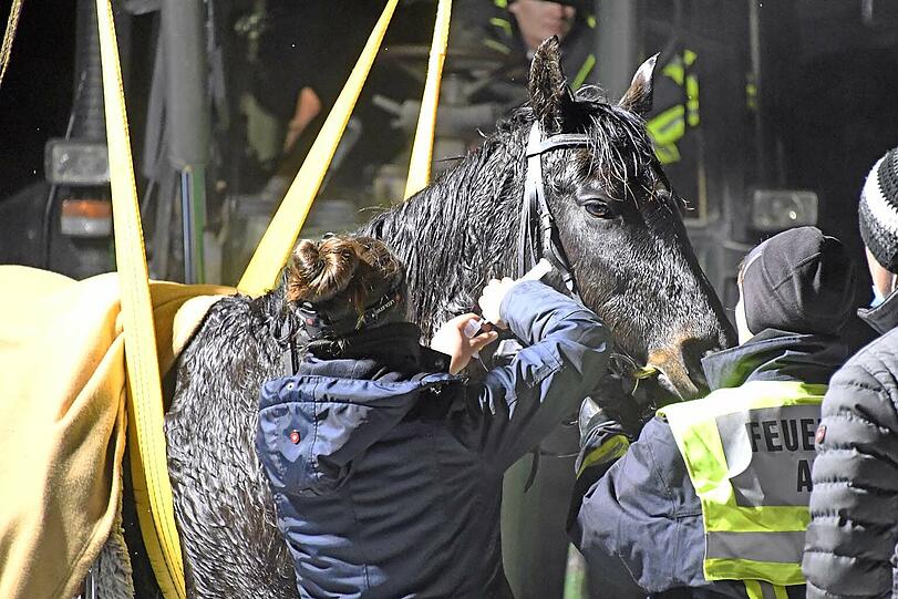 Eine Reiterin war am Montagnachmittag mit der Stute Shakira ausgeritten und dann nahe der Mündung in den Staudhamer See mit dem Tier in das Eis eines zufließenden Baches eingebrochen.