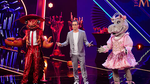 Welche Promis stecken in den Kostümen der ProSieben-Show "The Masked Singer"? Damit dieses Geheimnis nicht vorab gelüftet wird, gibt es harte Regeln.