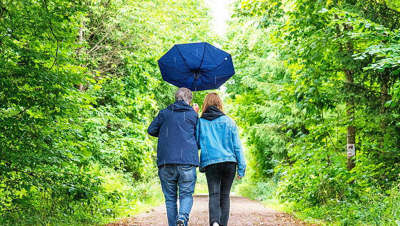 Zeit für Pullover und ein Jackerl wird es langsam. Der Herbst hat München erreicht. Kein Grund zum Traurigsein. Besonders im Wald zeigt sich die Jahreszeit von einer besonders schönen Seite. Zeit für Pullover und ein Jackerl wird es langsam. Der Herbst hat München erreicht. Kein Grund zum Traurigsein. Besonders im Wald zeigt sich die Jahreszeit von einer besonders schönen Seite.