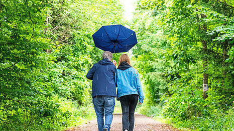 Zeit f&uuml;r Pullover und ein Jackerl wird es langsam. Der Herbst hat M&uuml;nchen erreicht. Kein Grund zum Traurigsein. Besonders im Wald zeigt sich die Jahreszeit von einer besonders sch&ouml;nen Seite.