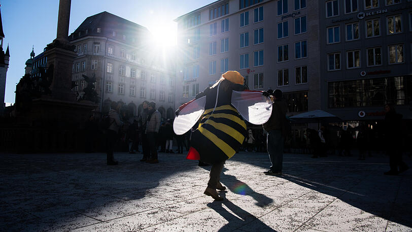 Weitere Bilder vom Marienplatz.