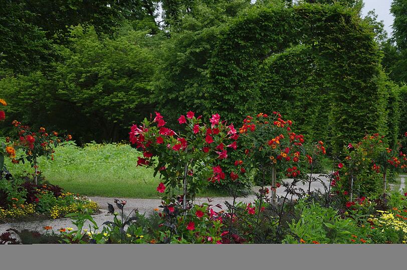 Giesing: Der Rosengarten gehört zu den Lieblingsorten einer Leserin.