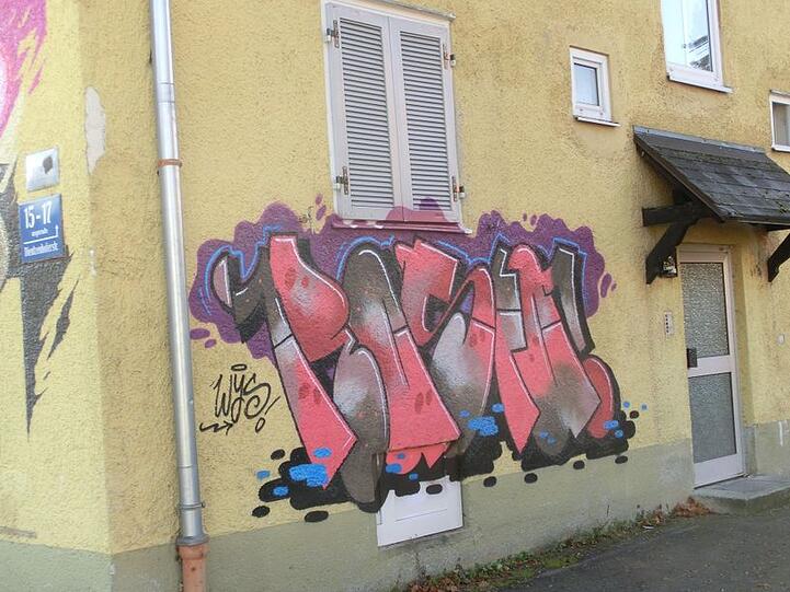 Graffiti-Künstler haben im Harthof Abrisshäuser gekonnt verschönert.