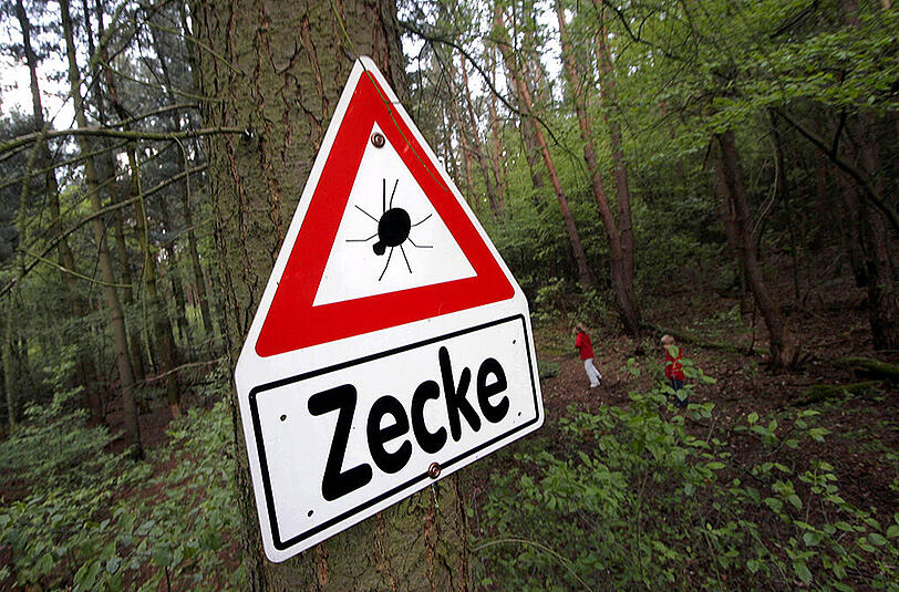 Immer mehr Kreise in Deutschland werden zu Zecken-Risikogebieten.