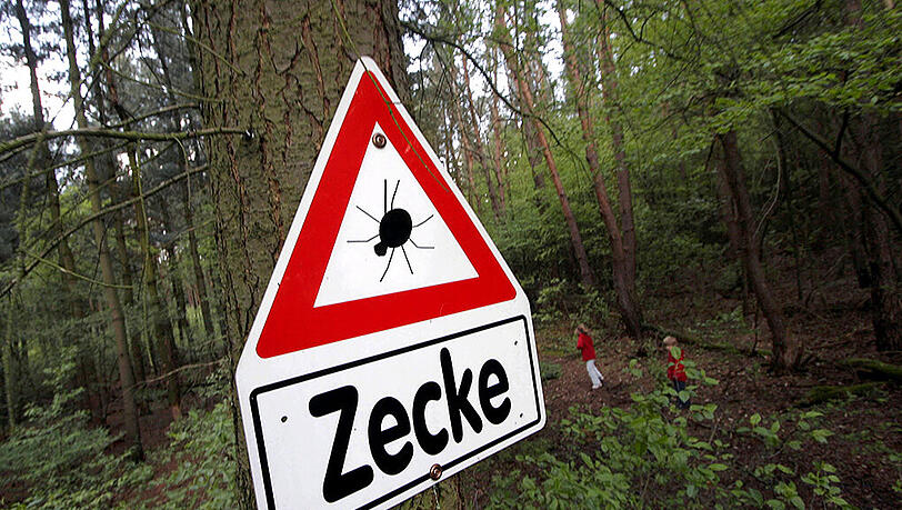 Immer mehr Kreise in Deutschland werden zu Zecken-Risikogebieten. Immer mehr Kreise in Deutschland werden zu Zecken-Risikogebieten.