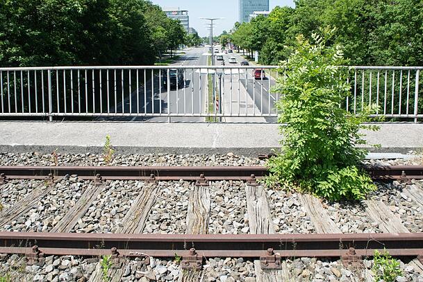 Auch die alte Bahnbrücke über den Georg-Brauchle-Ring ist überwuchert. Auch die alte Bahnbrücke über den Georg-Brauchle-Ring ist überwuchert.