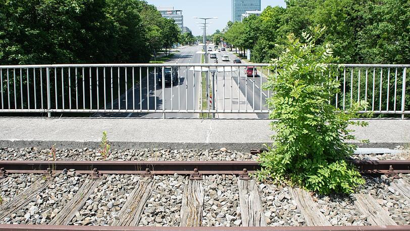 Auch die alte Bahnbrücke über den Georg-Brauchle-Ring ist überwuchert.