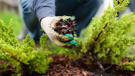 Die Tage werden langsam k&uuml;rzer, der Sommer verabschiedet sich - geht damit auch die Gartensaison zu Ende? Ganz und gar nicht, im September gibt es noch jede Menge zu tun f&uuml;r Hobbyg&auml;rtner! Vom Ernten &uuml;bers Aufr&auml;umen bis hin zur Vorbereitung des Winters - es wird nicht langweilig im Garten. Schlie&szlig;en Sie Ihre Gartensaison erfolgreich ab - und bereiten die n&auml;chste gleich mit vor!