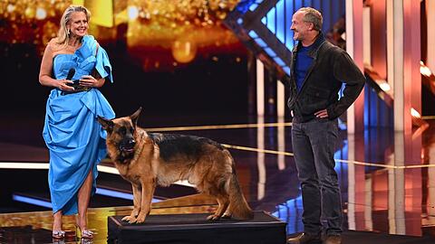 Maximilian Br&uuml;ckner mit "Kommissar Rex" auf der Fernsehpreis-B&uuml;hne.
