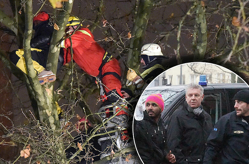 Nachdem die Hungerstreik-Flüchtlinge von den Bäumen heruntergeholt wurden, hat Münchens OB Dieter Reiter versprochen, noch vor Weihnachten einen Runden Tisch einzuberufen.