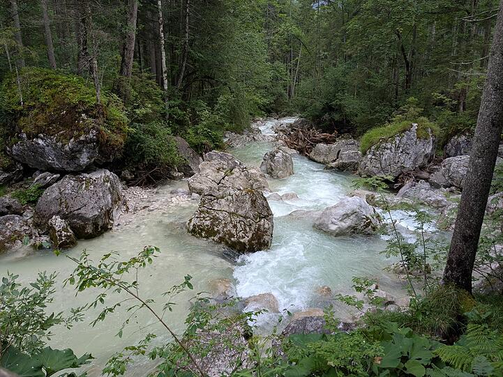 Entstanden ist der Zauberwald am Hintersee durch einen Felssturz vor Jahrtausenden.