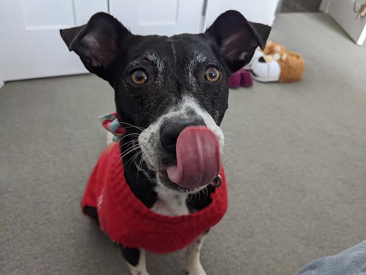 Frida