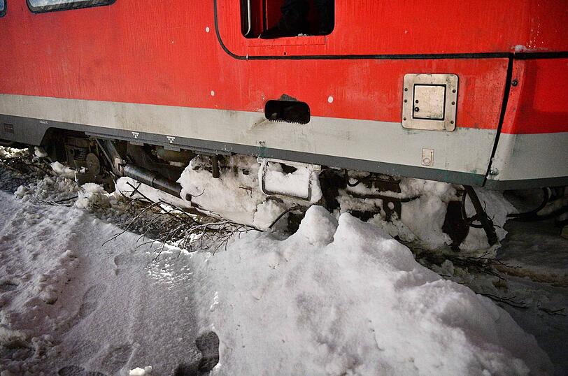 Am Sonntagabend stürzte ein Baum auf einen Zug - die Passagiere hatten Glück im Unglück.