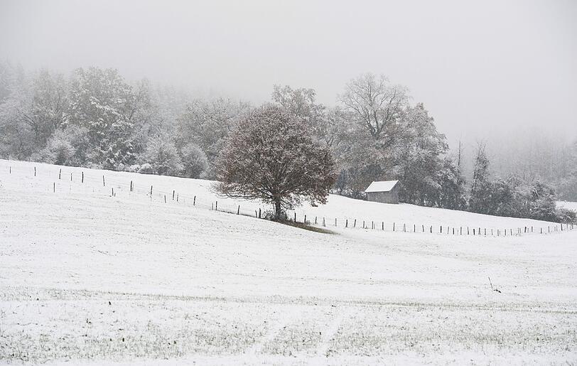 Im bayerischen Sindlsdorf bedeckte der Schnee Bäume und Wiesen.