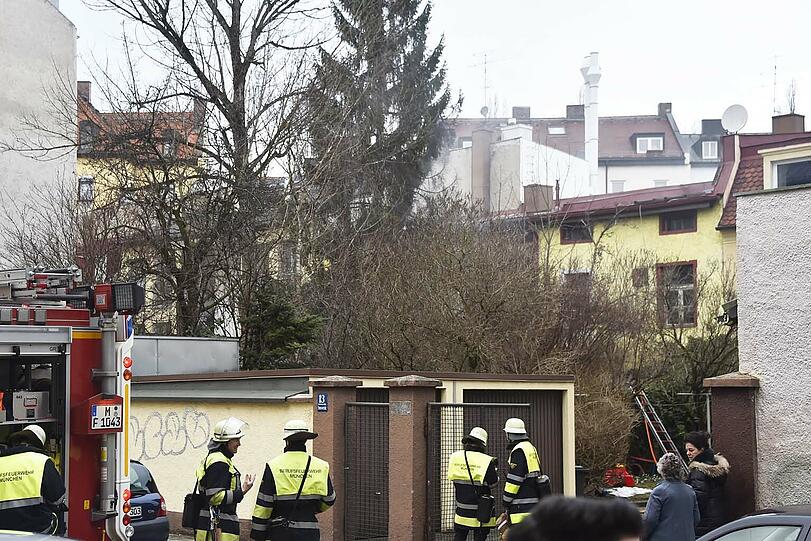 Zwei Katzen sterben bei einem Zimmerbrand in der Senserstraße.