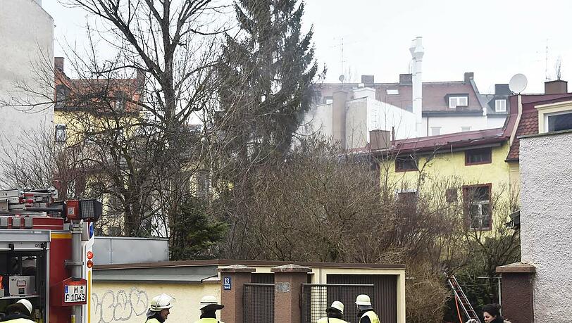 Zwei Katzen sterben bei einem Zimmerbrand in der Senserstraße. Zwei Katzen sterben bei einem Zimmerbrand in der Senserstraße.