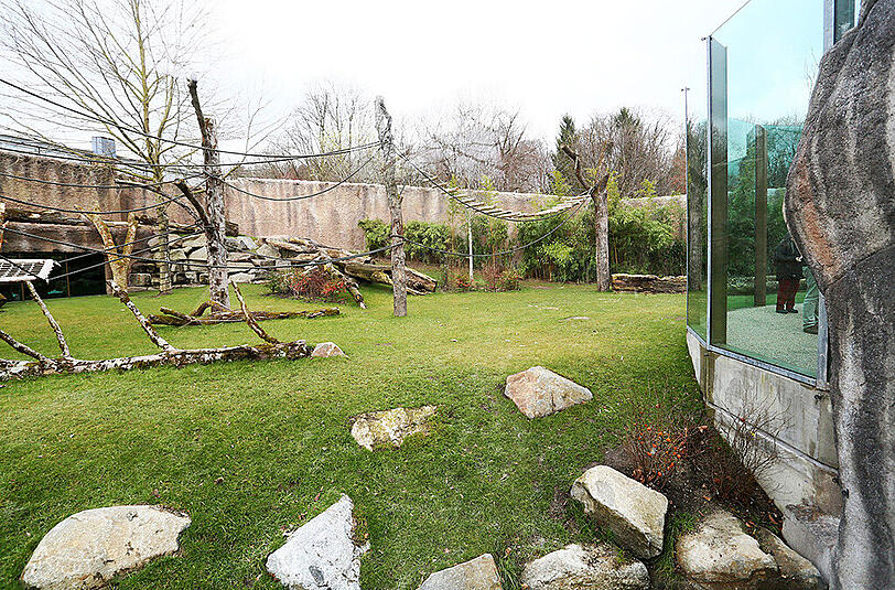 Bilder von der Eröffnung des Affengeheges im Tierpark Hellabrunn.