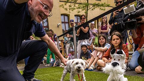 60 Jahre Idefix: Das Museum für Kommunikation suchte den besten Doppelgänger des Comic-Hundes.