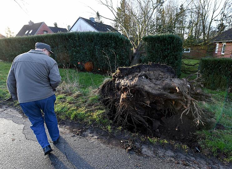 Im Norden staunt dieser Herr nicht schlecht, was Niklas angerichtet hat.