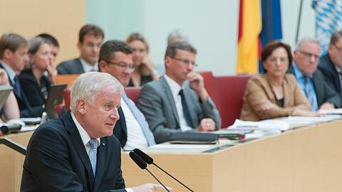 Horst Seehofer am Mittwoch in der letzten Plenarsitzung vor der Sommerpause.