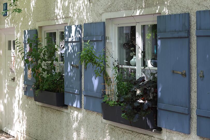 Schöne Fensterläden am Herbergshäuschen in der Preysingstraße.