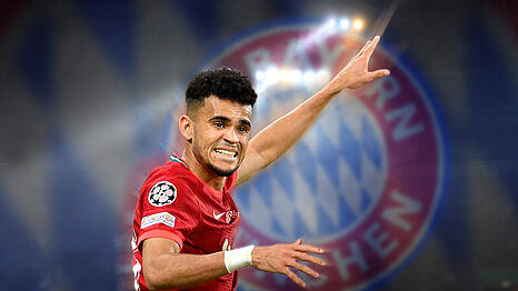 Im Fokus des FC Bayern: Liverpools kolumbianischer Angreifer Luis Díaz.