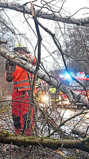 Auf der Rosenheimer Straße kurz vor der Auffahrt auf die A8 stürzten mehrere Bäume auf die Fahrbahn. Die Freiwillige Feuerwehr aus Perlach beseitigte die Hindernisse.