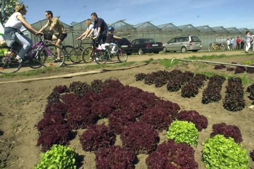 Im Knoblauchsland befreite der Zoll Rumänen, die für einen Hungerlohn arbeiteten.