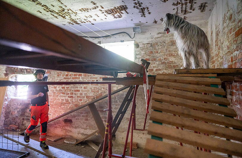 Fabian Puchelt von der Rettungshundestaffel der Freiwilligen Feuerwehr Hochbrück und sein acht Monate alter Pyrenäenschäferhund (Berger des Pyrénées) Paula bei einer Übung auf dem Trümmergelände in Garching.