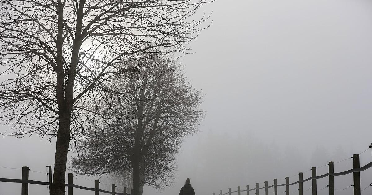 Dauergrau-und-mild-Von-Winterwetter-keine-Spur