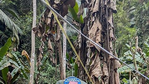 H&ouml;hlentaucher Josh Richards ist in Laos, um die Mission zu unterst&uuml;tzen.