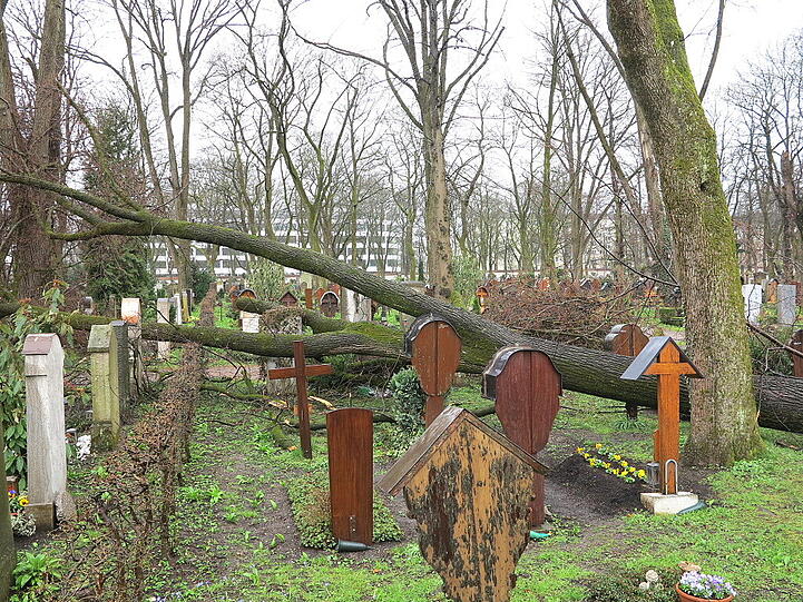 Weitere Aufnahmen vom Ostfriedhof.
