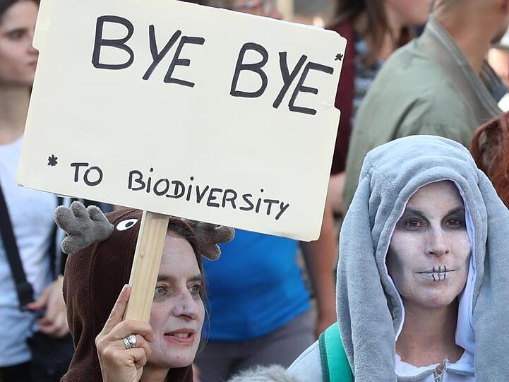 "Tschüss Artenvielfalt": Demonstranten in Brüssel.
