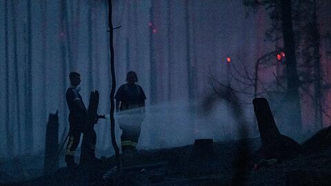 Dutzende Einsatzkräfte der Feuerwehr, des Technischen Hilfswerkes sowie des Katastrophenschutzes kämpfen unermüdlich gegen den Brand in Thüringen. (Archivbild)