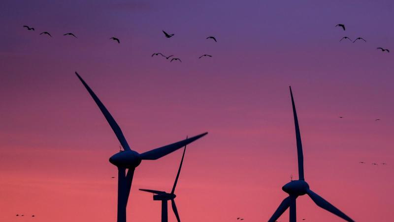 Der Ausbau der Windenergie in Deutschland stockt. Der Ausbau der Windenergie in Deutschland stockt.
