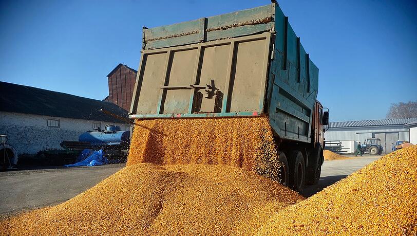 Agrarexporte der Ukraine haben für Unmut bei Bauern in der EU gesorgt. (Archivbild)