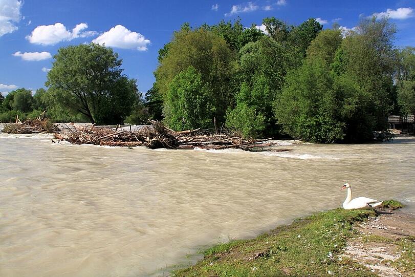 Wasser marsch: Bilder von der Isar am Flaucher.