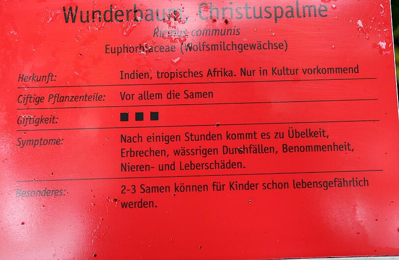 Auflösung siehe Tafel