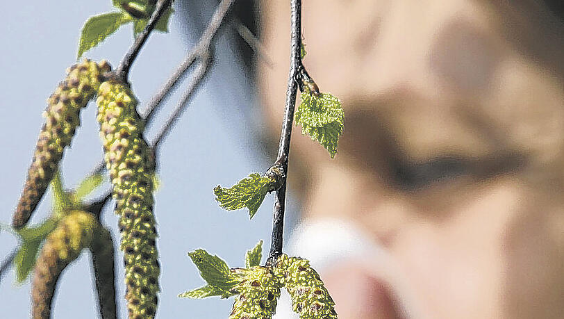 Die Winter werden immer milder, die Frühblüher blühen immer früher und die Allergiker leiden noch mehr.Foto: dpa Die Winter werden immer milder, die Frühblüher blühen immer früher und die Allergiker leiden noch mehr.Foto: dpa