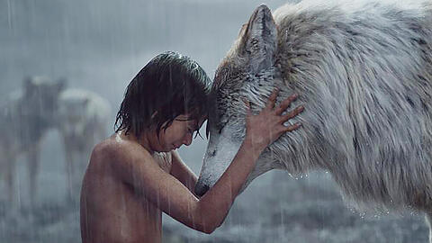 "The Jungle Book": Als Mogli (Neel Sethi) und seinem Wolfsrudel große Gefahr droht, entscheidet er sich dazu, den Dschungel zu verlassen