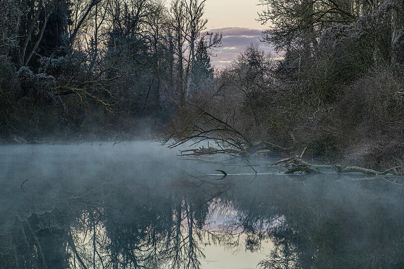 Die Isar teilt sich in der Nähe von Landshut in viele Kanäle und Altwasser auf.