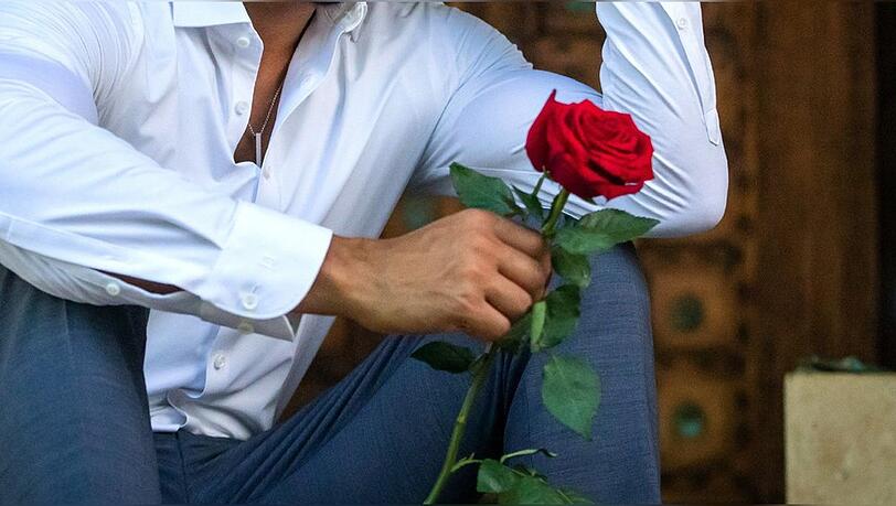 Was wird neu bei der nächsten Staffel von "Der Bachelor"?
