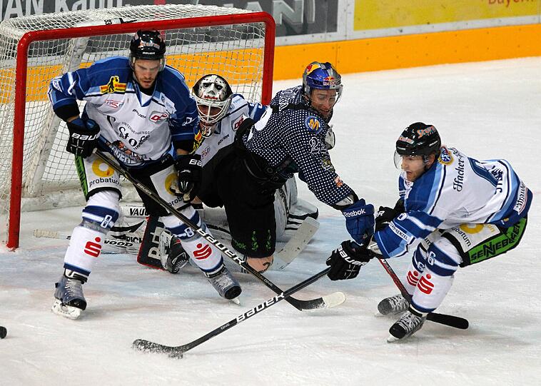 Der EHC München und die Straubing Tigers sind in der DEL große Rivalen.