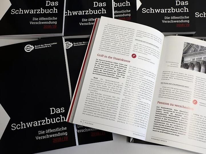 Der Bund der Steuerzahler stellt auf einer Pressekonferenz das "Schwarzbuch" vor. Foto: Wolfgang Kumm/dpa/Archivbild
