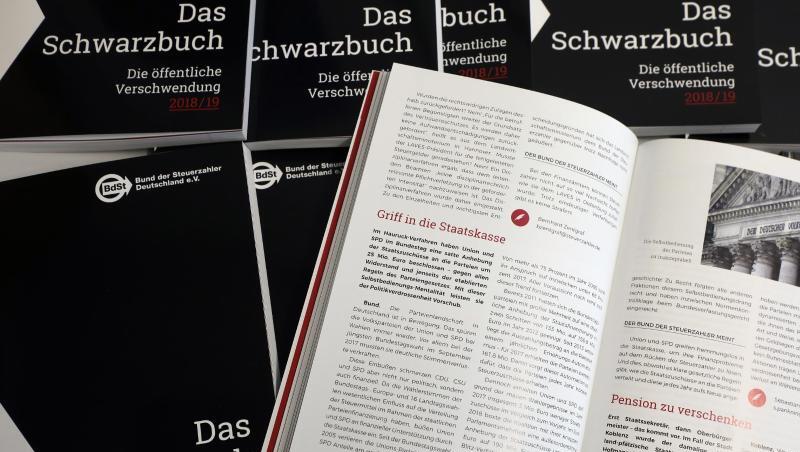 Der Bund der Steuerzahler stellt auf einer Pressekonferenz das "Schwarzbuch" vor. Foto: Wolfgang Kumm/dpa/Archivbild Der Bund der Steuerzahler stellt auf einer Pressekonferenz das "Schwarzbuch" vor. Foto: Wolfgang Kumm/dpa/Archivbild