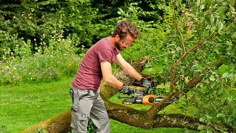 Mit einigen Handgriffen lassen sich B&auml;ume, Geh&ouml;lze und B&uuml;sche auf die n&auml;chste Saison vorbereiten.
